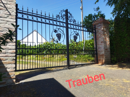 Trauben